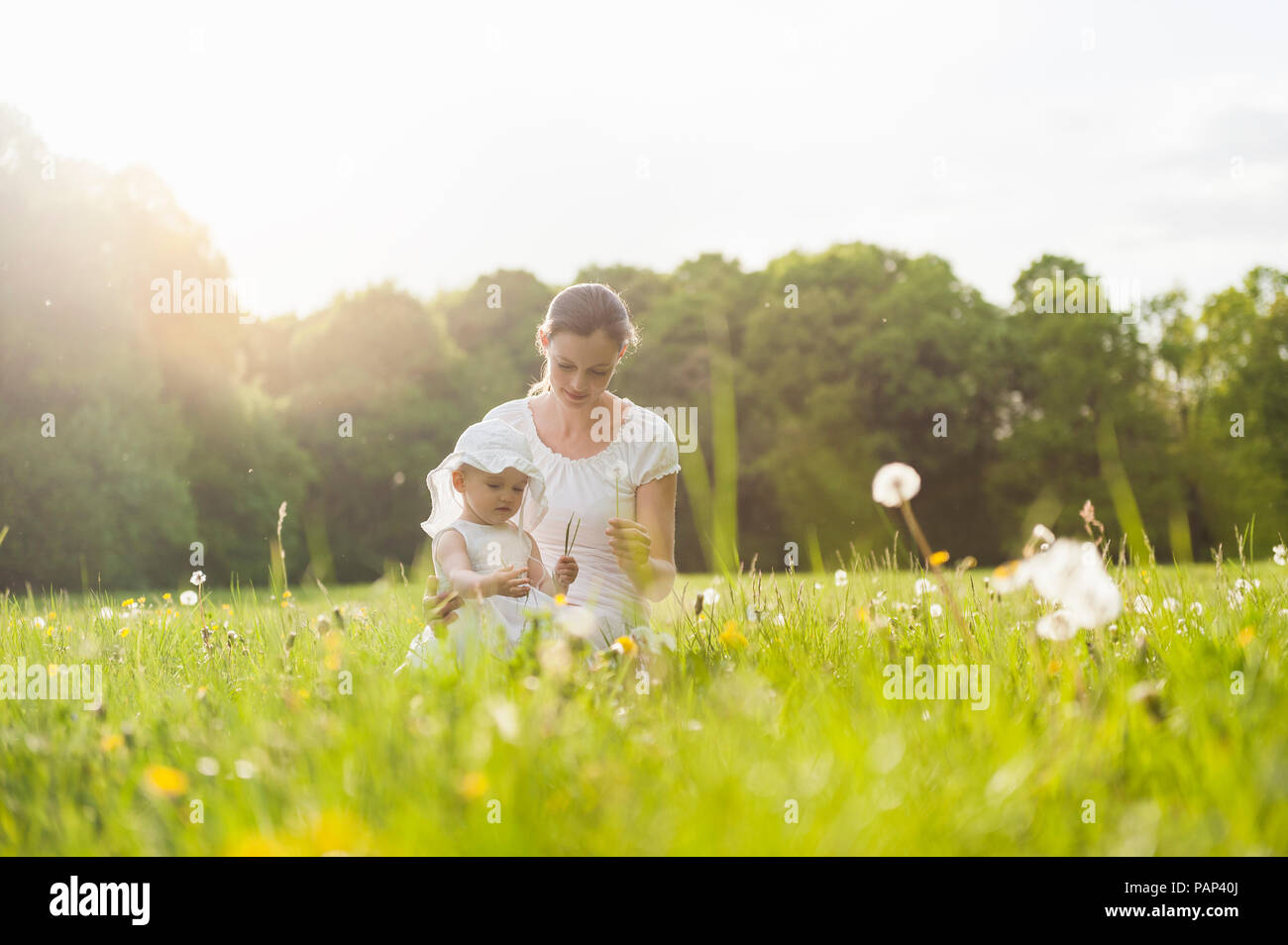 Mother and daughter with blowball on meadow in summer Stock Photo