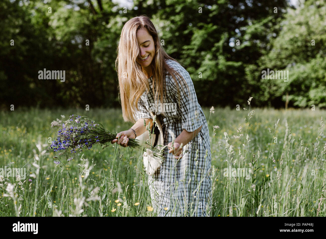 Italy, Veneto, Young woman plucking flowers and herbs in field Stock Photo