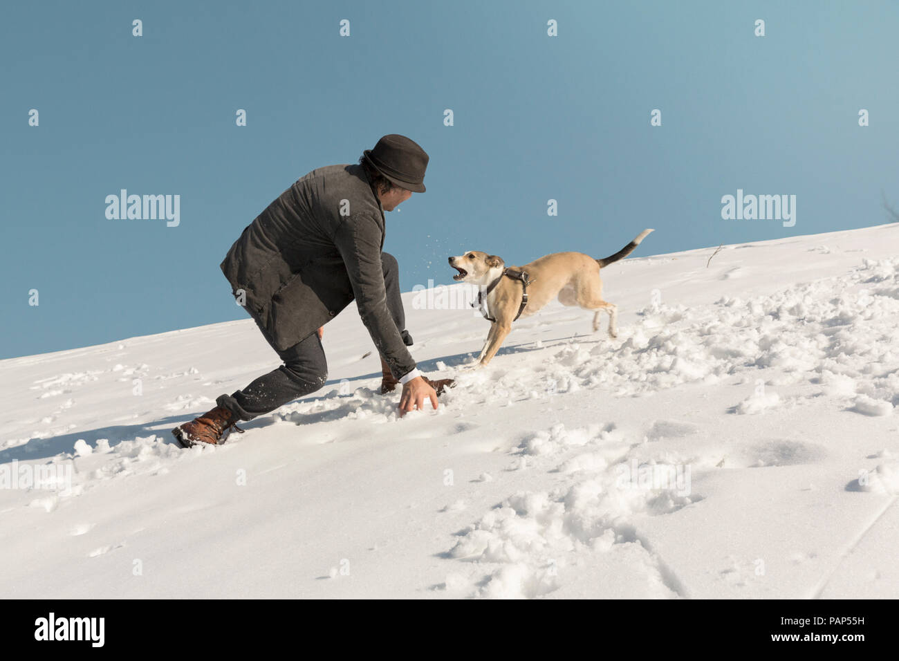 Man playing with dog in winter, throwing snow Stock Photo