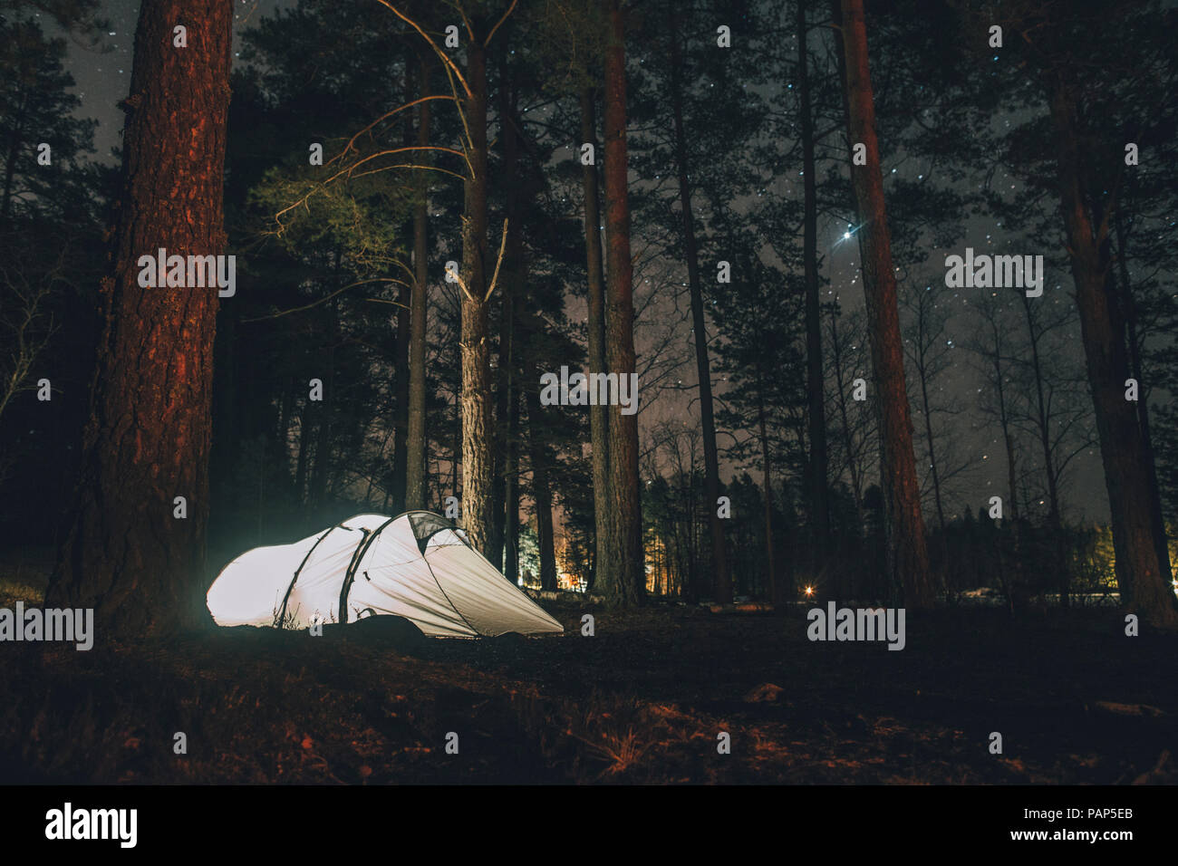 Sweden, Sodermanland, tent in forest under starry sky at night Stock Photo