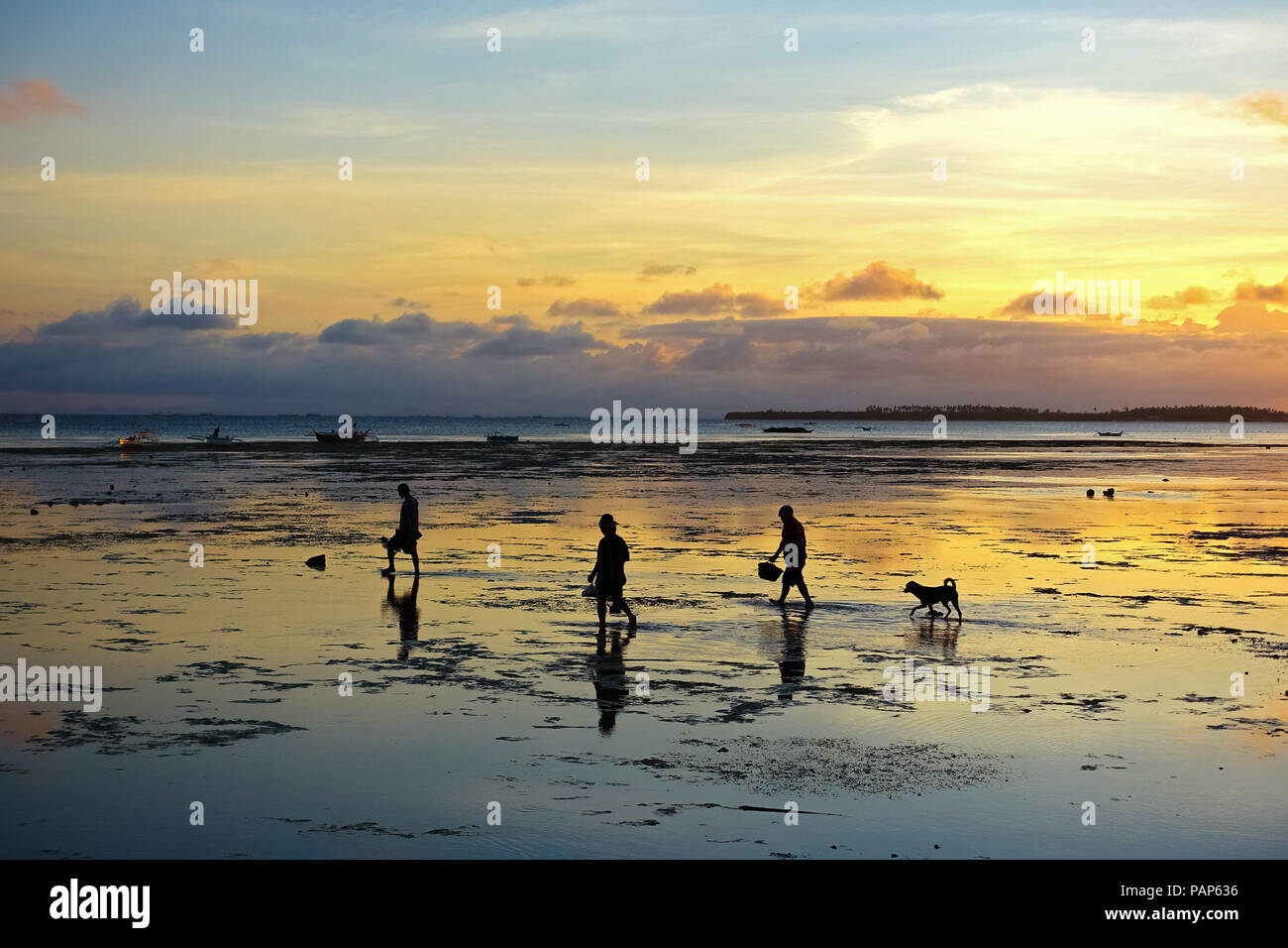 Local Family Beachcombing With Dog During Low Tide Island Sunrise In local-family-beachcombing-with-dog-during-low-tide-island-sunrise-in