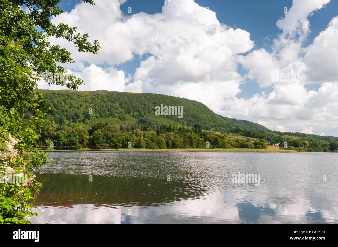 Lake of Menteith, Scotland Stock Photo Alamy