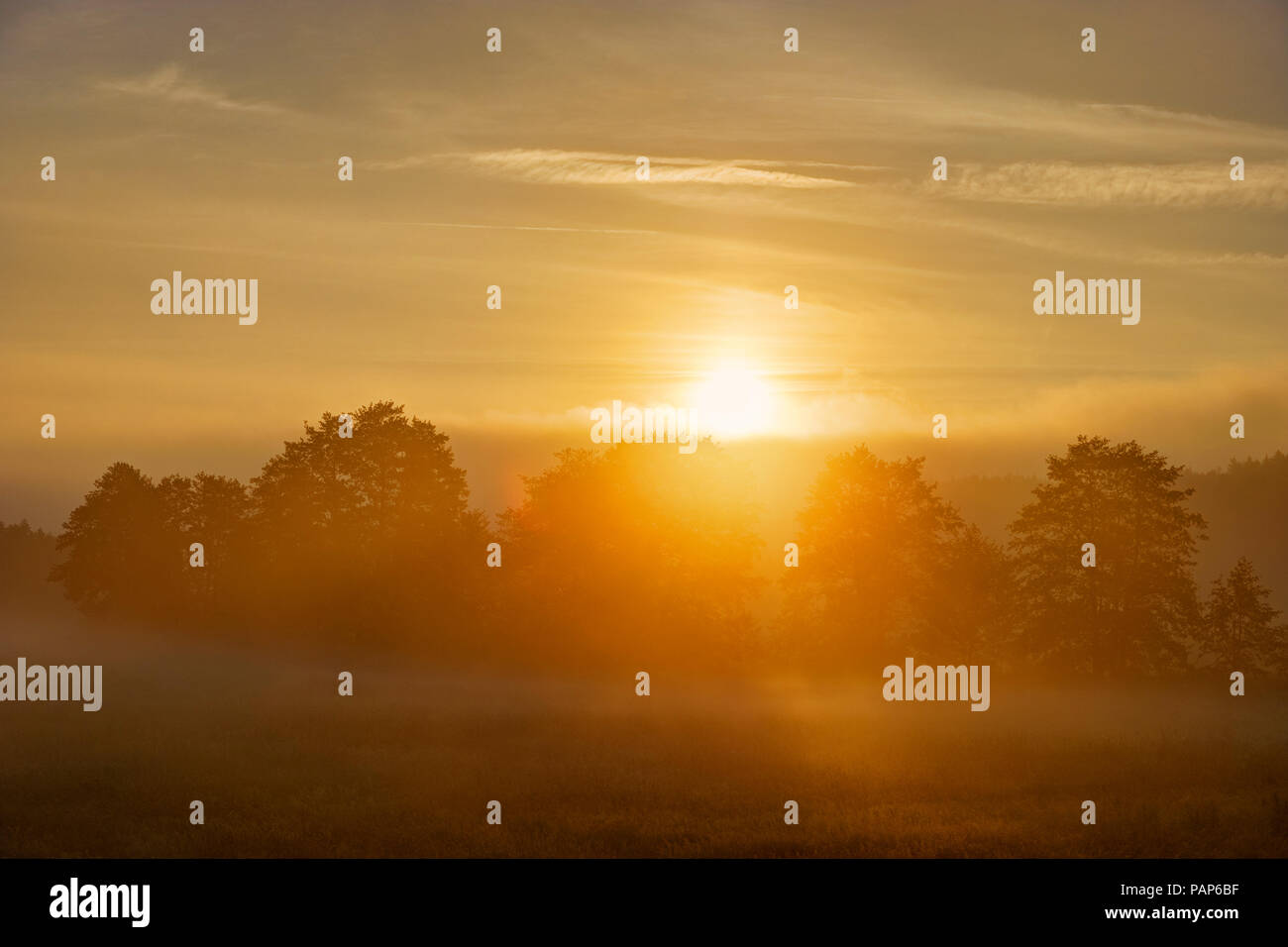 Germany, Bavaria, Swabia, Tussenhausen, morning fog at sunrise, Augsburg Western Woods Nature Park Stock Photo