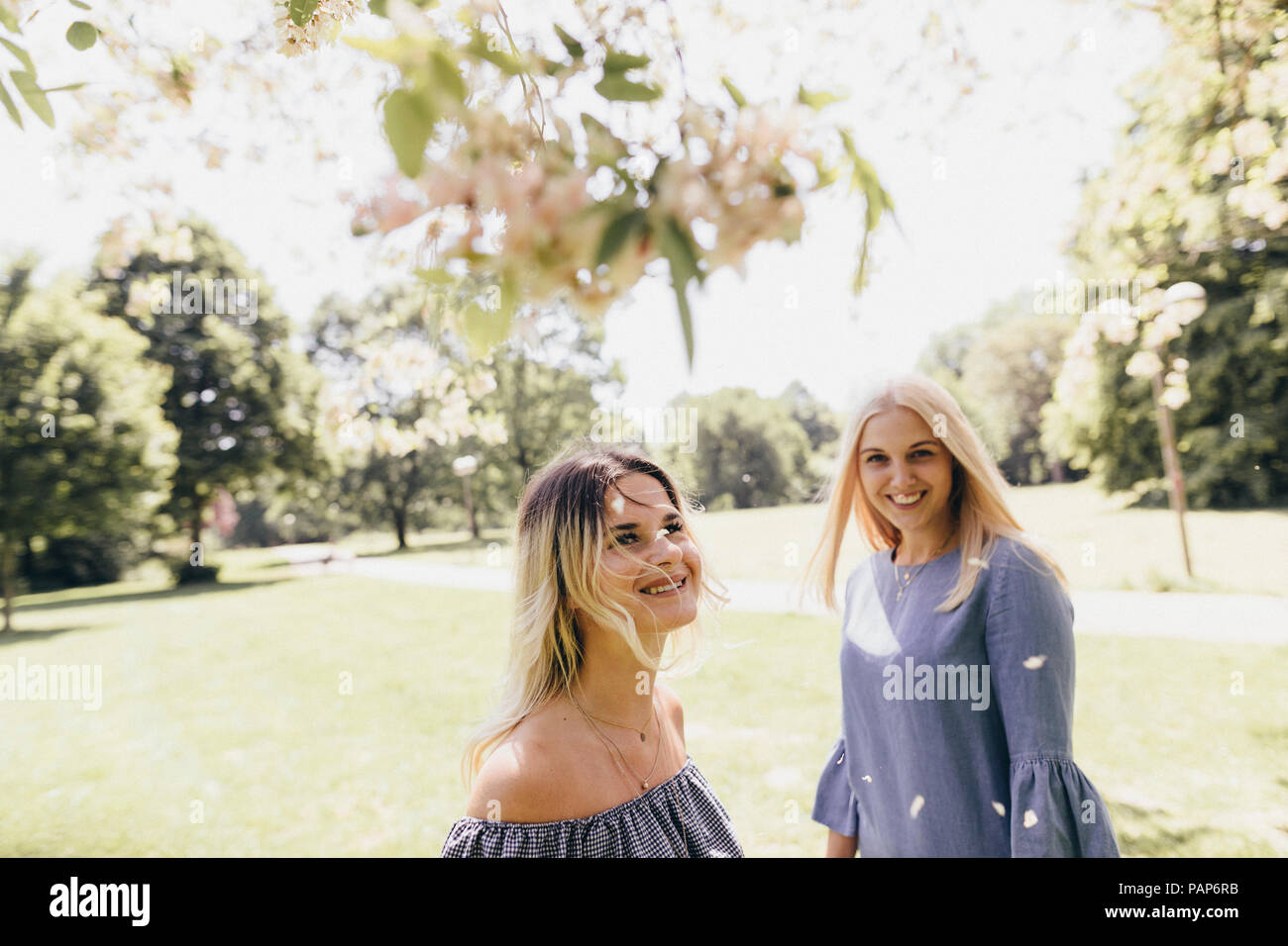 Two happy young women in a park at blossoming tree Stock Photo - Alamy