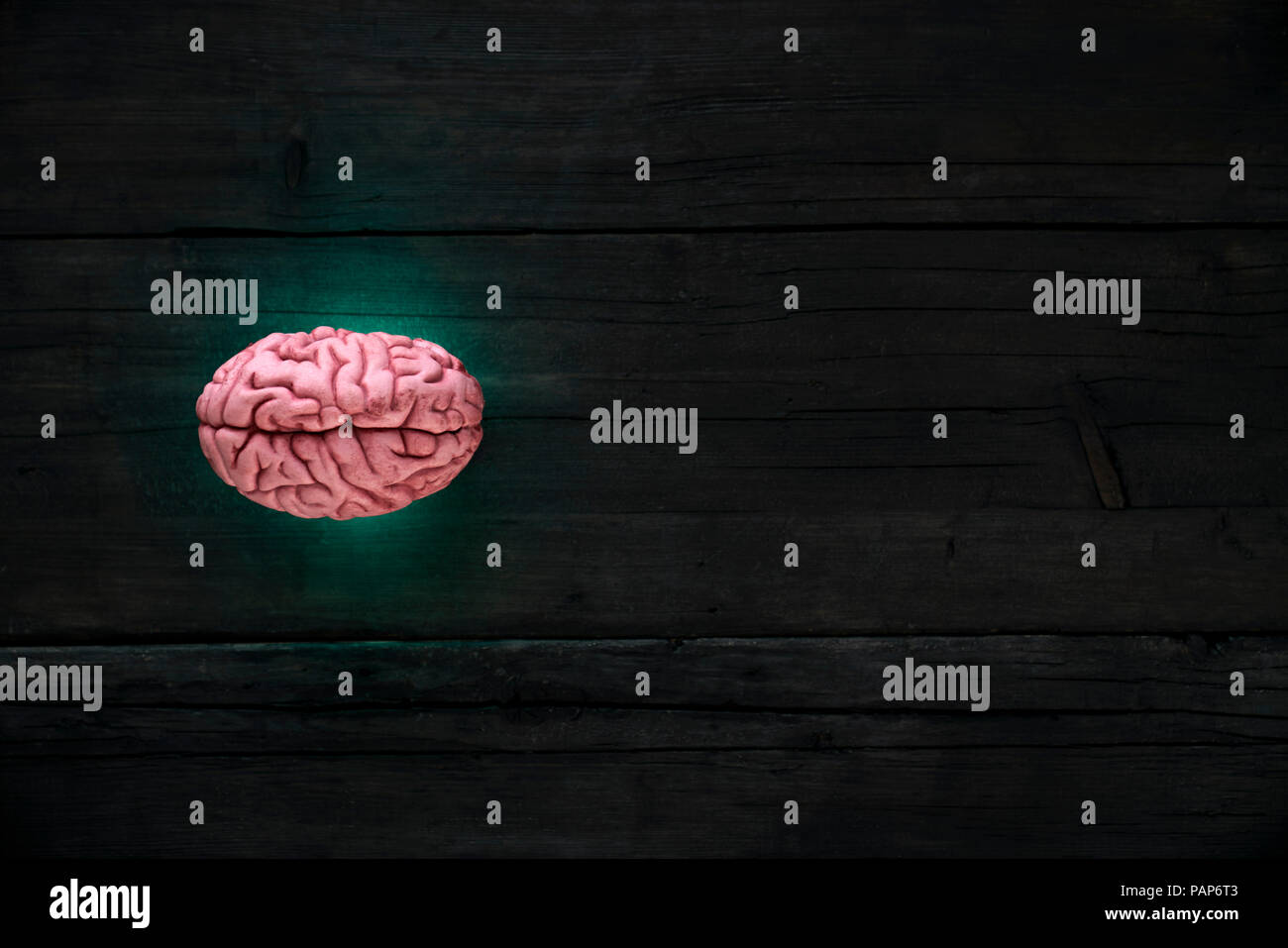 Artificial intelligence, brain gleaming Stock Photo