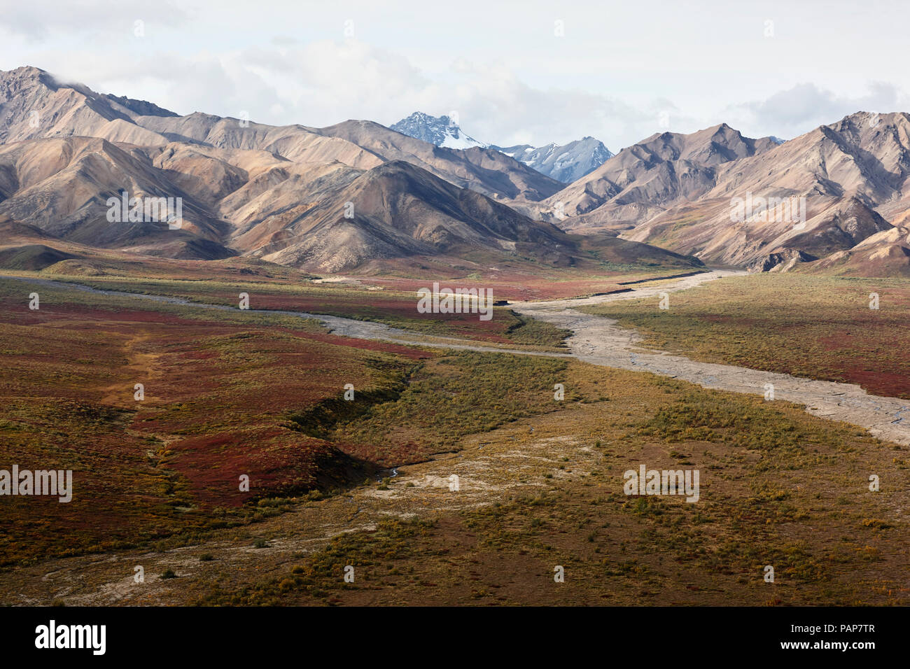 USA, Alaska, Denali National Park, Alaska Range in autumn Stock Photo