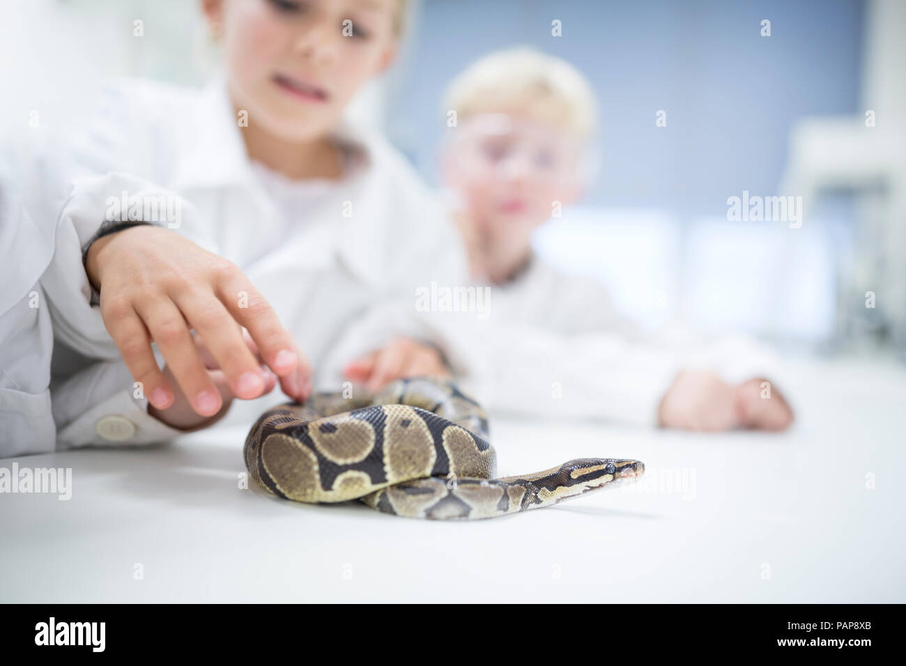 Pupils in science class examining snake Stock Photo
