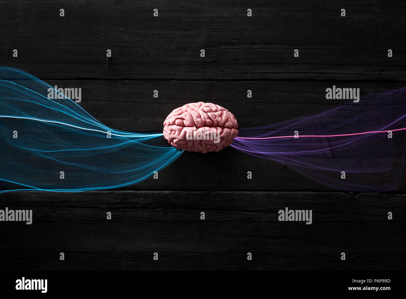 Brain and light waves symbolizing data flow Stock Photo