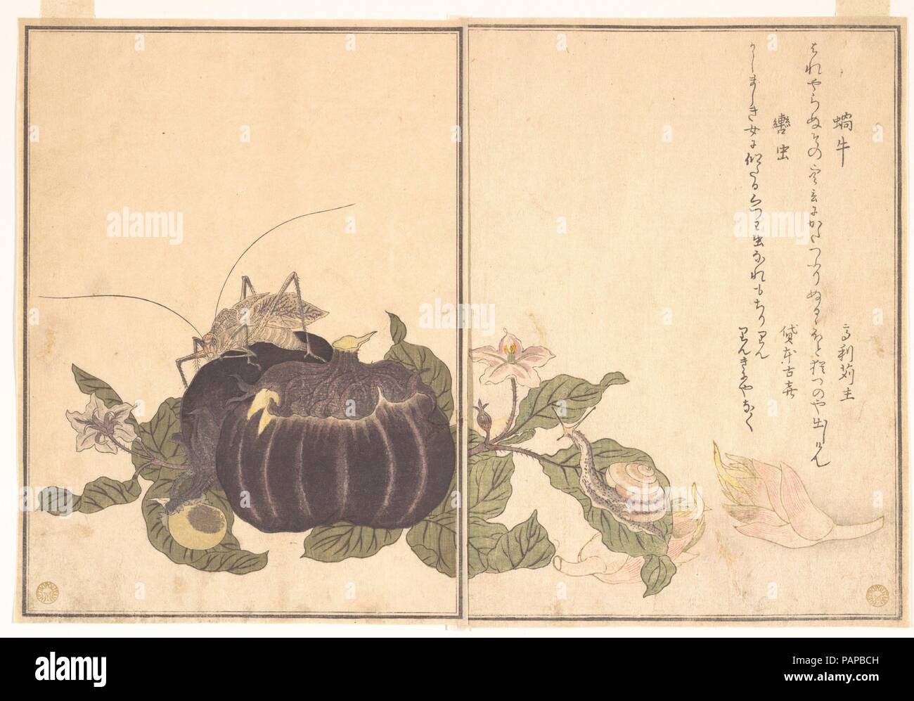 Land Snail (Katatsumuri); Giant Katydid (Kutsuwamushi), from the Picture Book of Crawling Creatures (Ehon mushi erami). Artist: Kitagawa Utamaro (Japanese, ca. 1754-1806). Culture: Japan. Dimensions: 10 1/2 x 7 7/32 in. (26.7 x 18.4 cm). Date: 1788.  Ehon mushi erami (Picture Book of Crawling Creatures) is illustrated with fifteen designs of insects and other garden creatures by Utamaro. Published by Tsutaya Juzaburo , the poems were selected and introduced by a preface written by the poet and scholar Yadoya no Meshimori (Rokujuen; 1753-1830), who later became head of the influential Go-gawa p Stock Photo