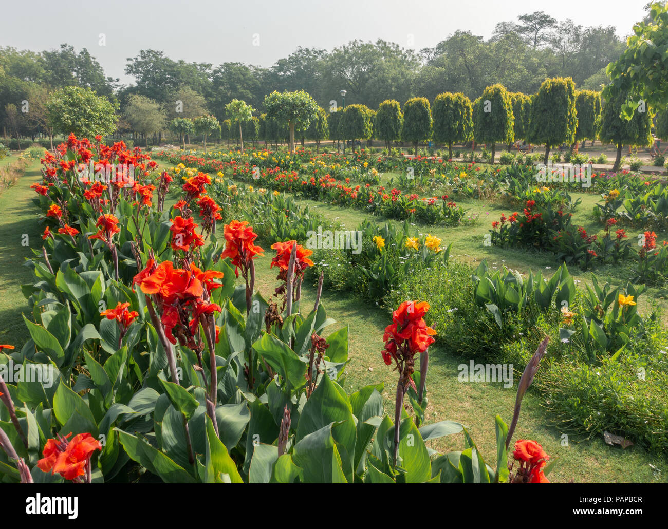 flower garden at Nehru Park, Delhi Stock Photo Alamy