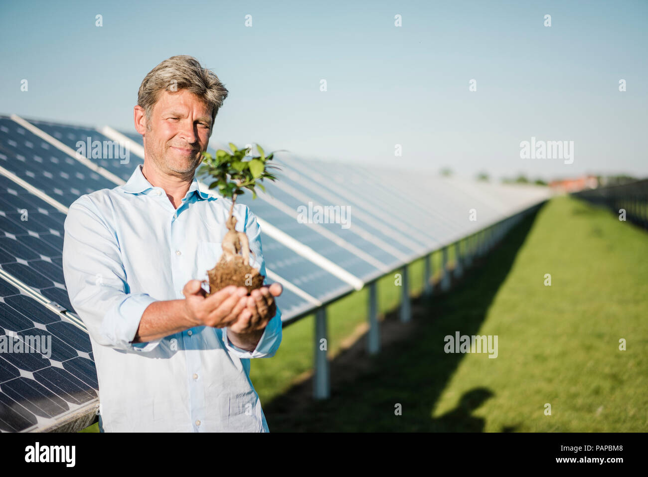 Mature man holding privet, solar plant Stock Photo