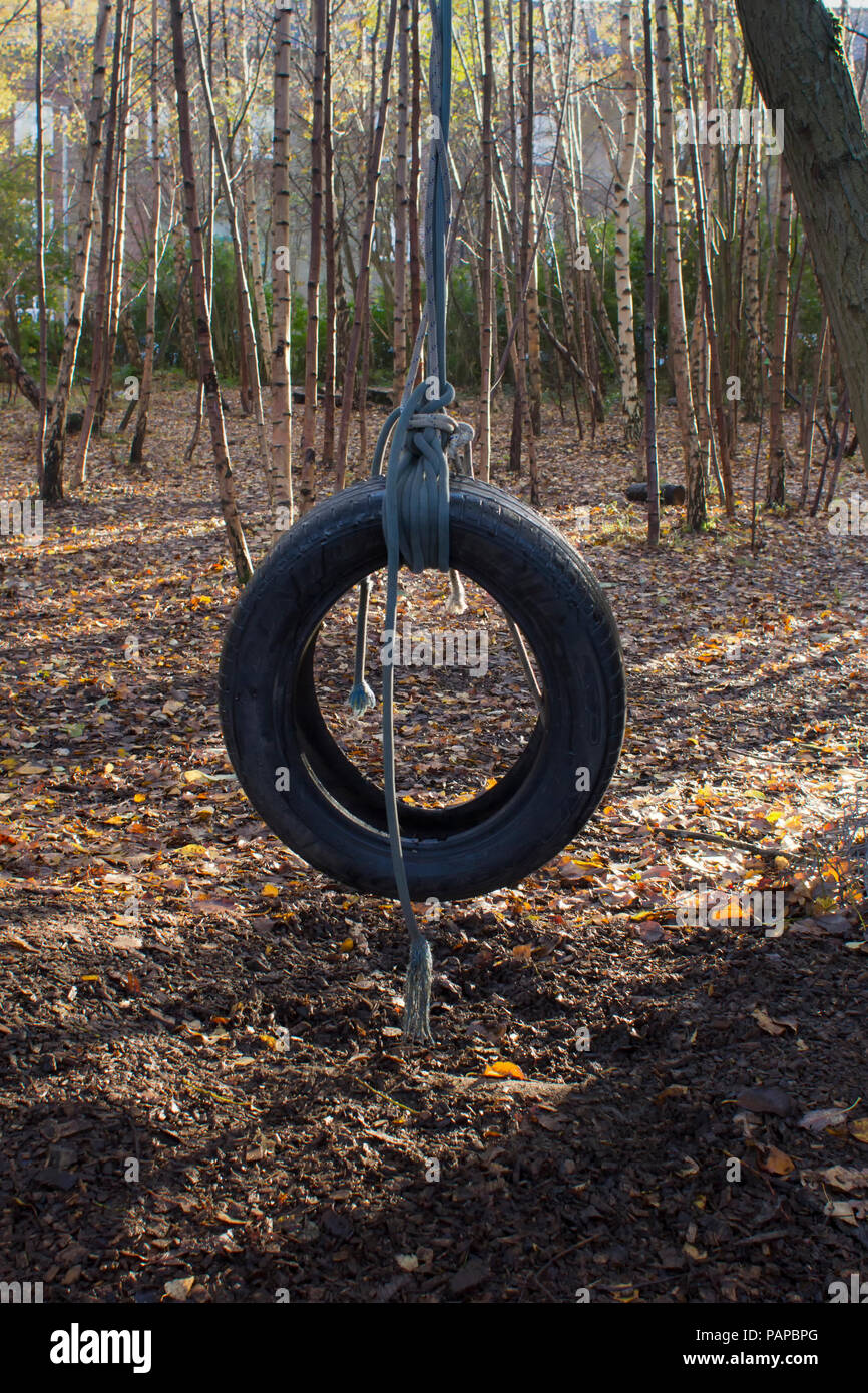 Childs tyre swing.in a hidden garden in Glasgow Scotland, photographed in during the late afternoon late Autumn. Stock Photo