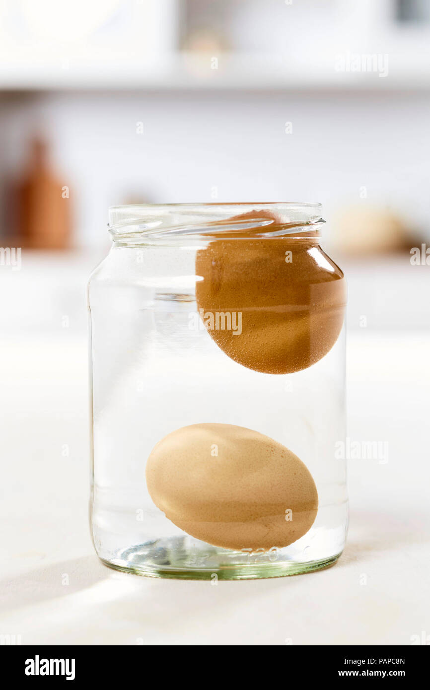 Freshness test for eggs: In a glass with cold water the fresh egg will lie on the grund, the old egg floats in the water without touching the ground. Germany Stock Photo