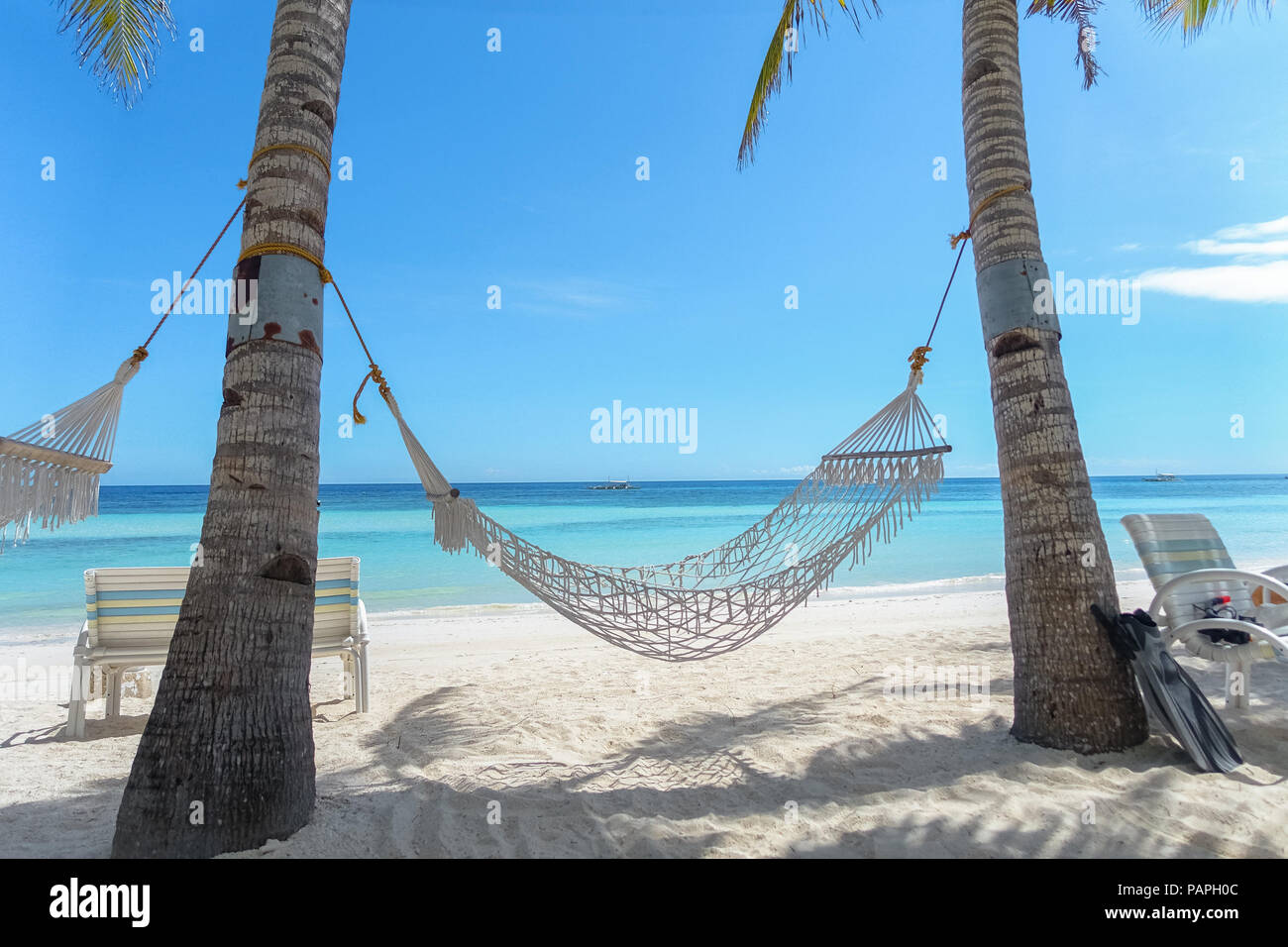 2 palm trees hi-res stock photography and images - Alamy