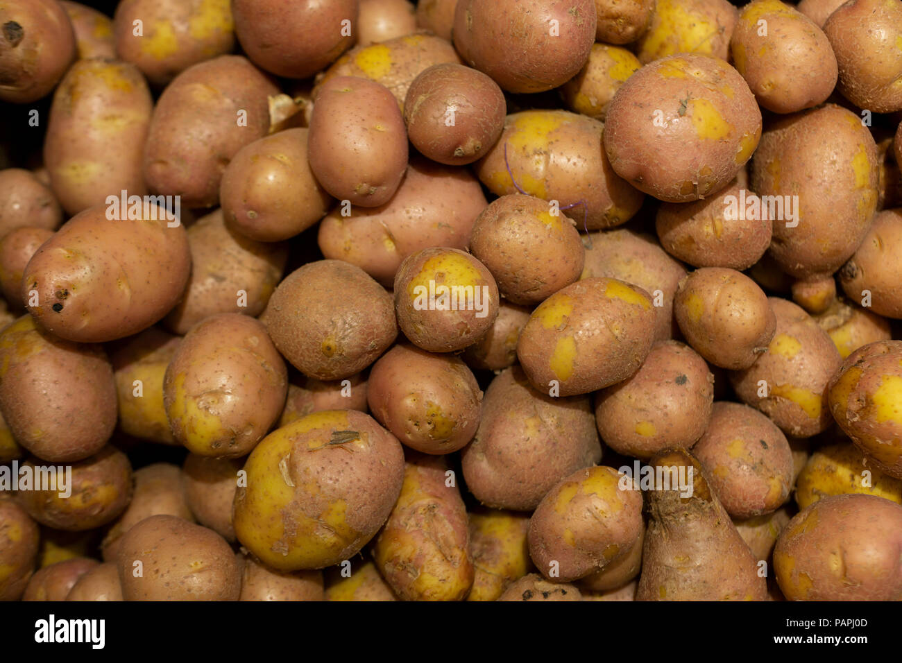 fresh potato background texture Stock Photo Alamy