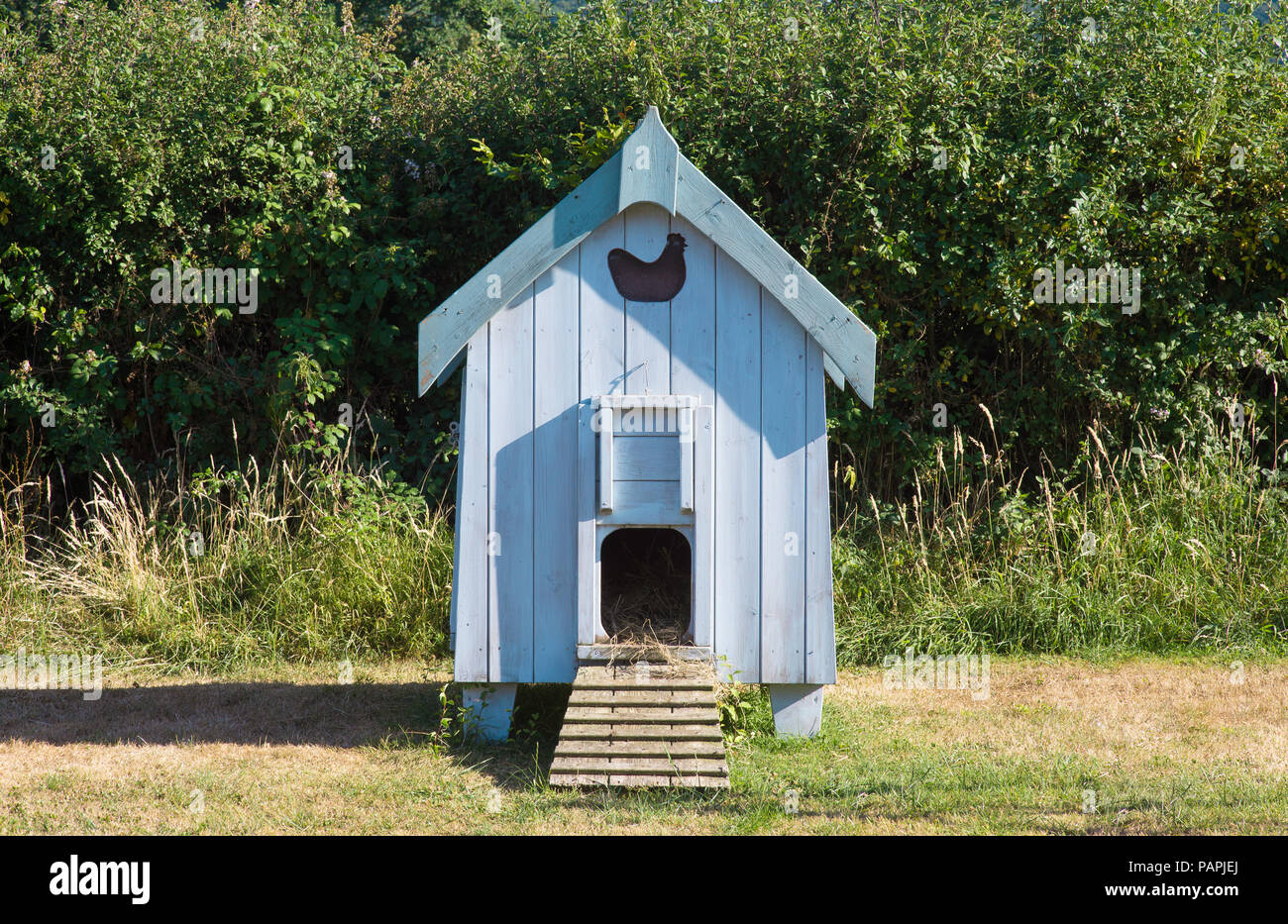 Cute blue chicken coop in the countryside Stock Photo