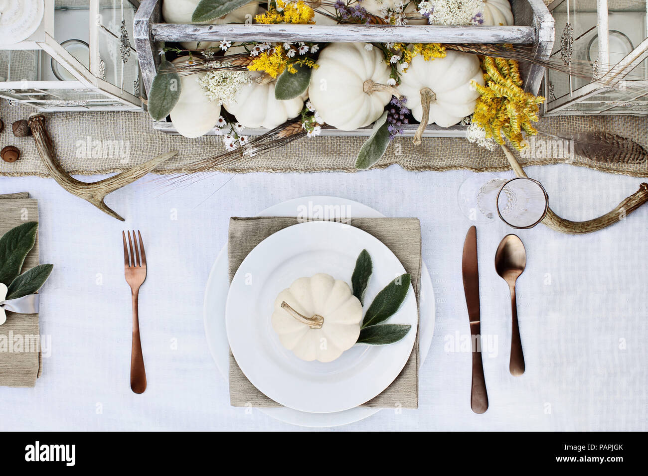 Reserved Thanksgiving or Halloween place setting at a farmhouse table set with mini white pumpkins, Lamb's Ears leaves,  antlers and wildflowers for a Stock Photo
