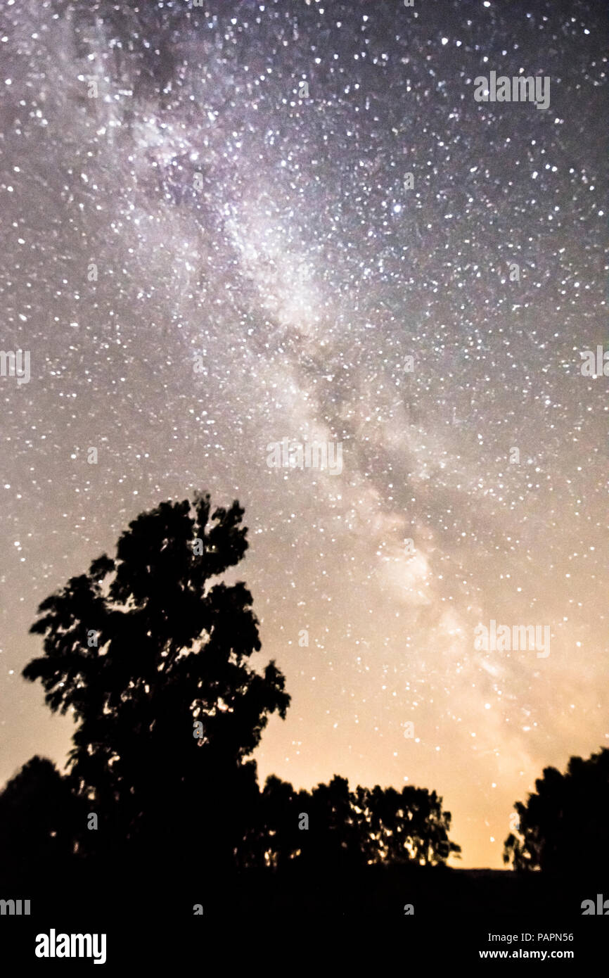 The Milky Way seen from Iping Common, Dark Sky Discovery Site, Sussex, UK, July Stock Photo