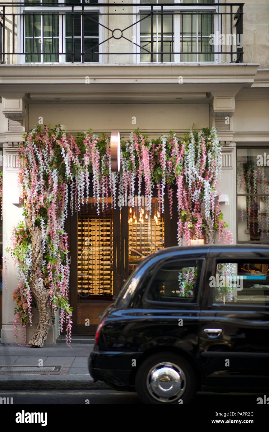 Berkeley Square, London Stock Photo - Alamy