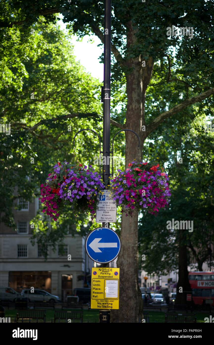 Berkeley Square, London Stock Photo Alamy