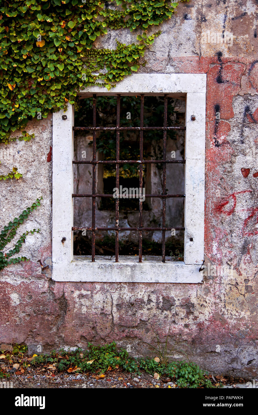Window old plant background with stone wall Stock Photo - Alamy