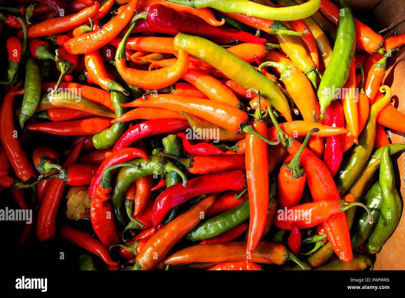 Organic fresh red and green chili peppers on city green market Stock ...