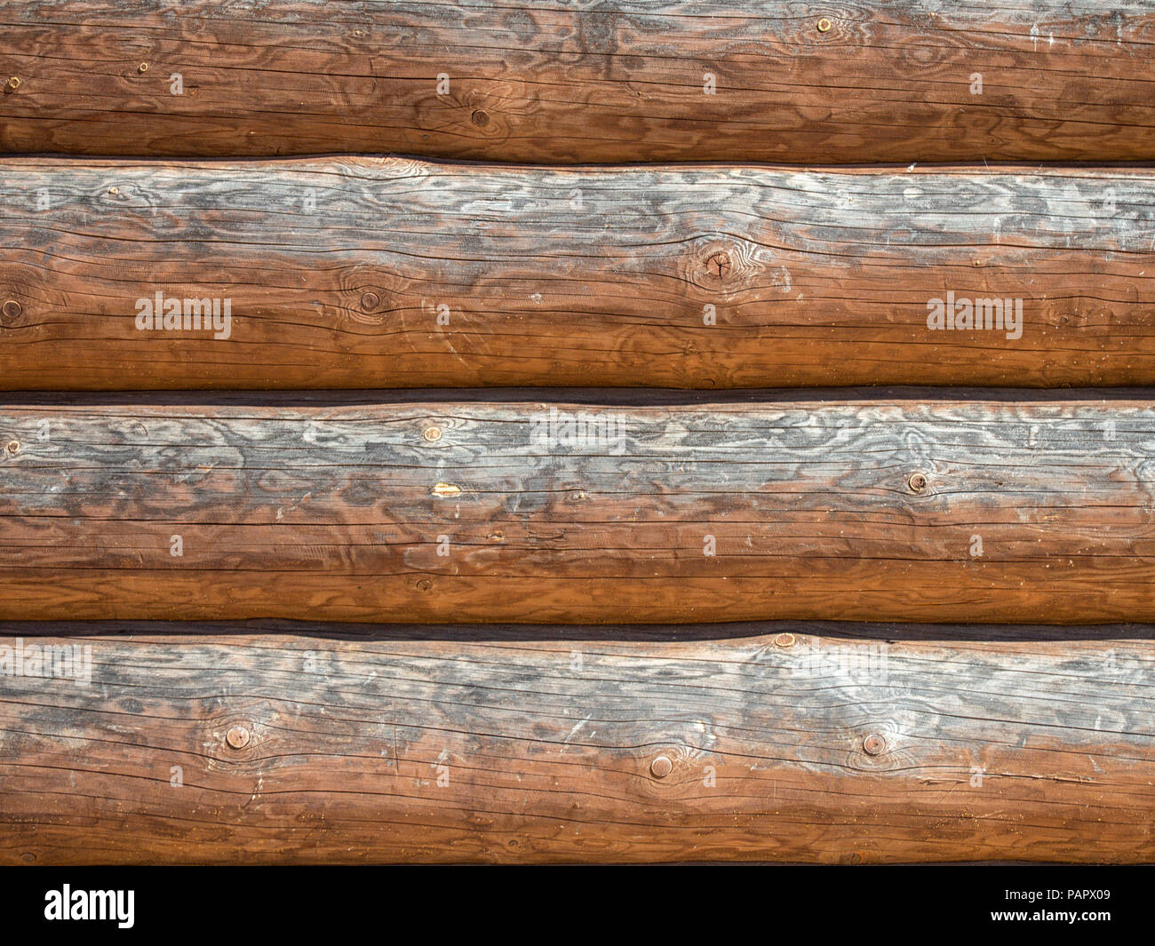 Log wall in sunny day background Stock Photo