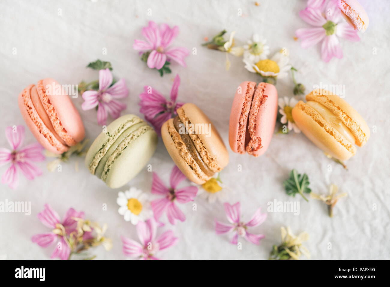 Macarons with blossoms Stock Photo