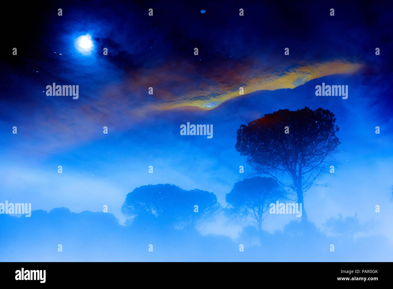 Spain, Andalusia, trees and sky with clouds and moon Stock Photo