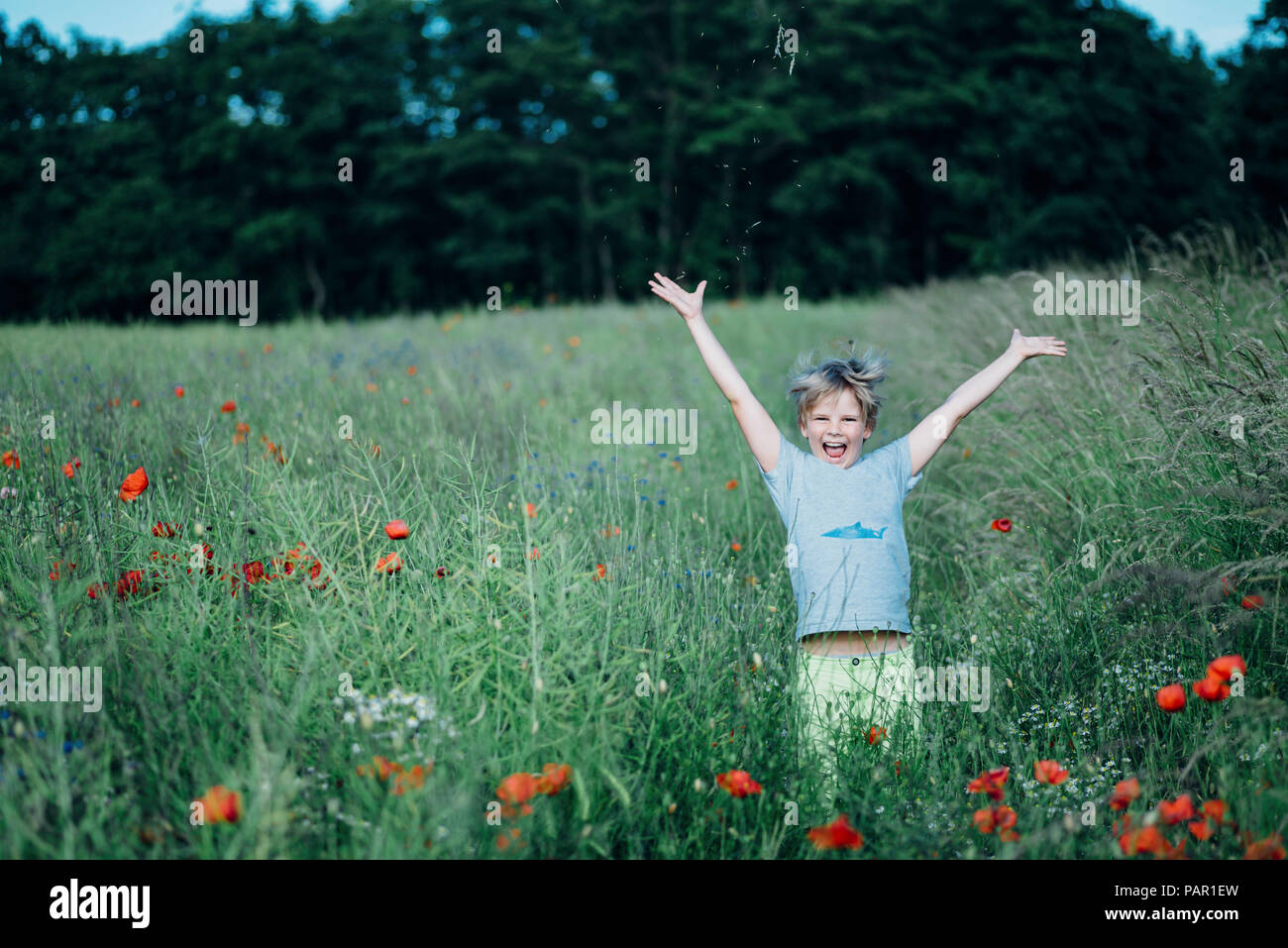 Portrait of happy boy in poppy field Stock Photo