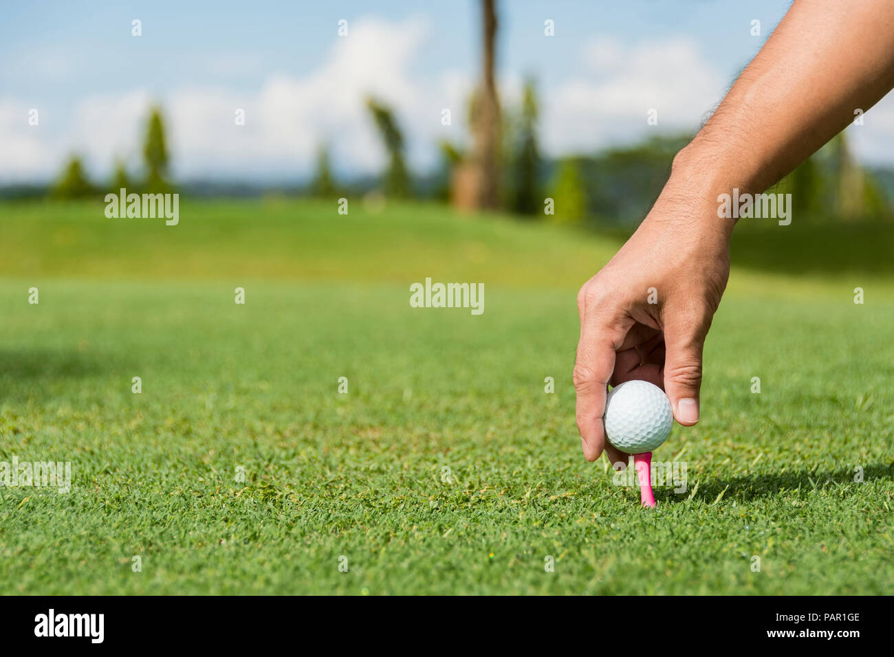 Golf tee peg hires stock photography and images Alamy
