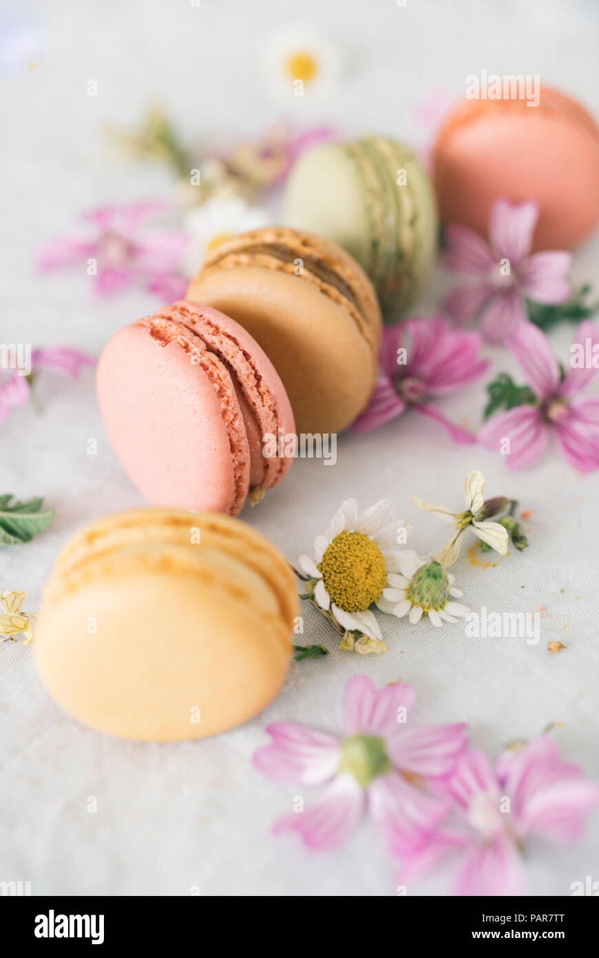 Macarons with blossoms Stock Photo