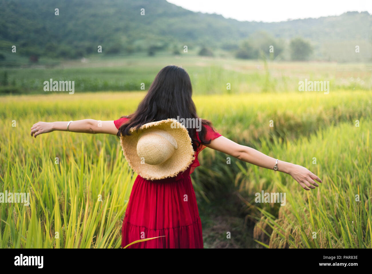 Girl walking in a rice field wearing red dress holding a hat Stock Photo