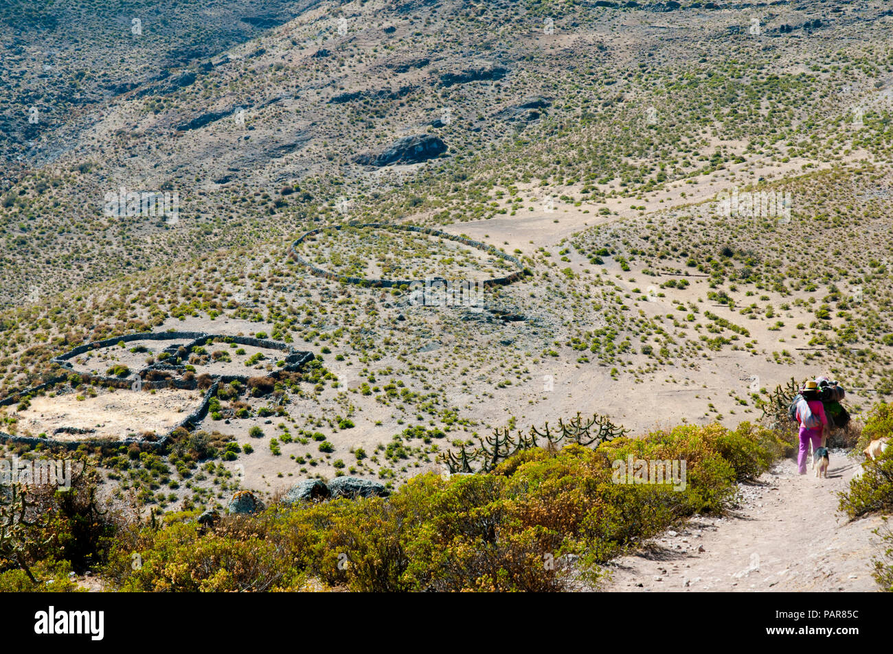 Trekking in the Andes - Peru Stock Photo - Alamy