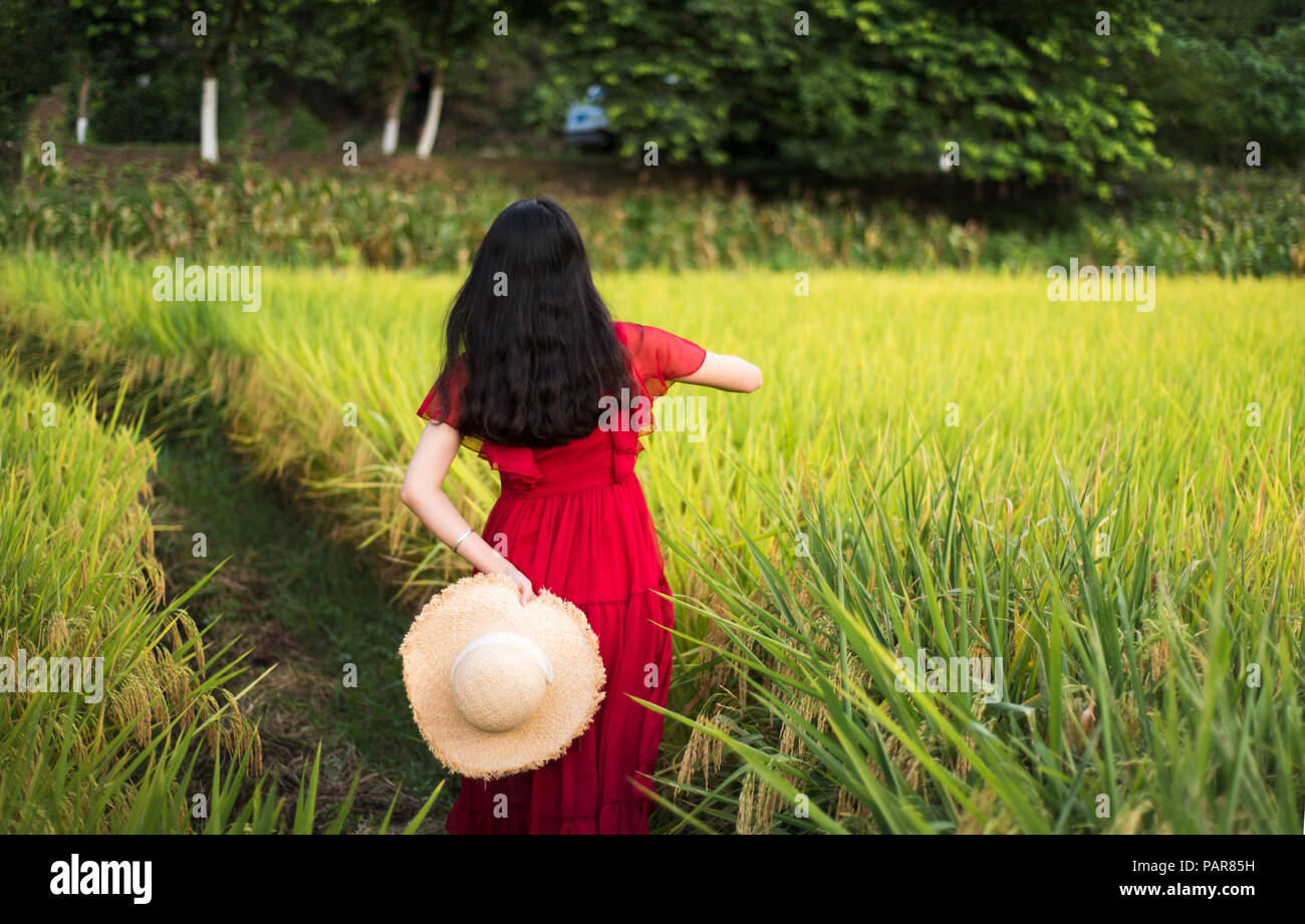 Girl walking in a rice field wearing red dress holding a hat Stock Photo