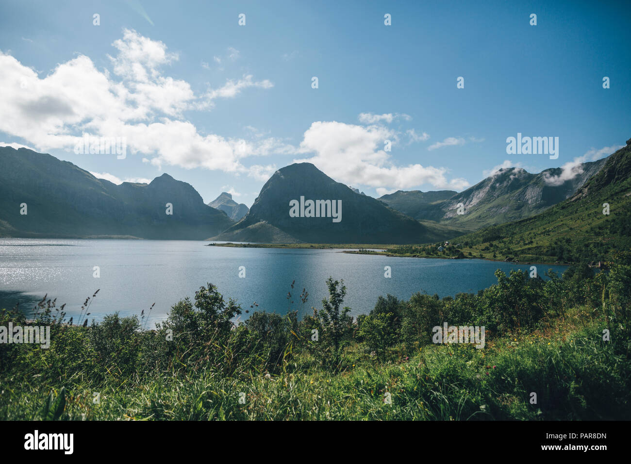 Norway, Lofoten, Moskenesoy, Selfjord Stock Photo