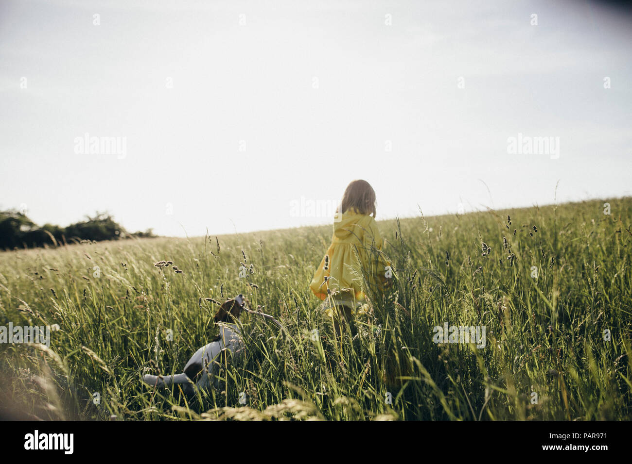 Little girl and dog in nature Stock Photo - Alamy