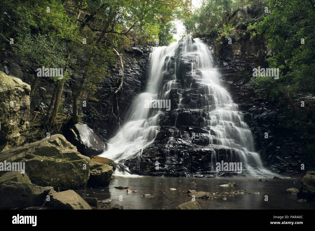 Waterfall at Hogsback, Eastern Cape, South Africa Stock Photo Alamy