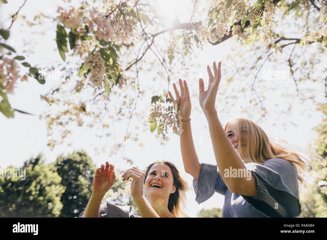 Two happy young women in a park at blossoming tree Stock Photo - Alamy