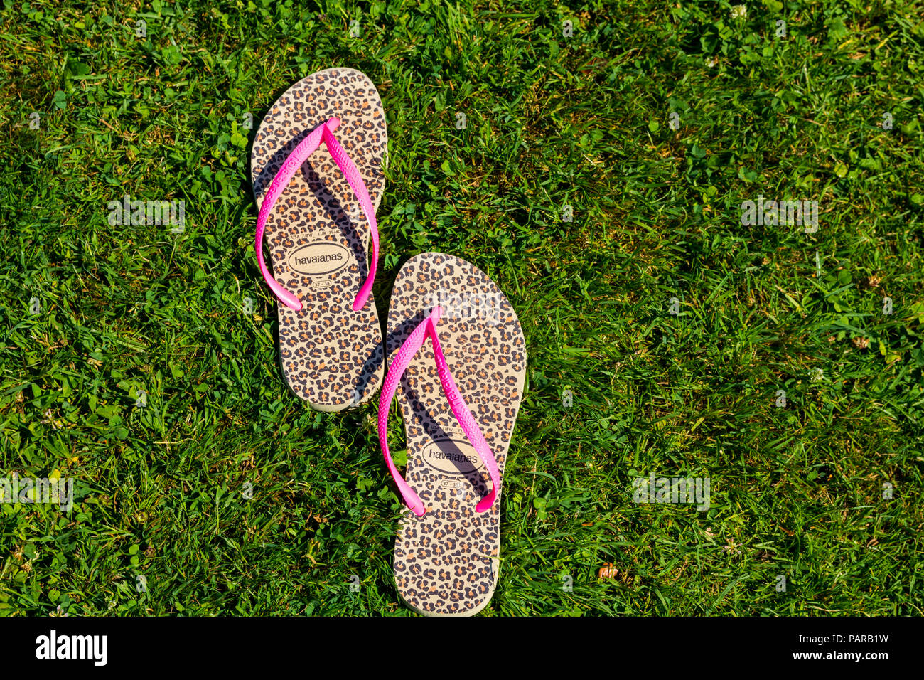 A pair of flip flops, sliders in the grass, summertime, summer, holidays, vacation, havaianas, unplugged concept Stock Photo