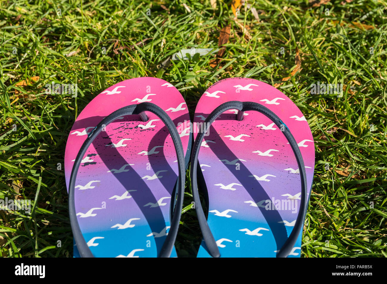 Flip flops garden hi-res stock photography and images - Alamy