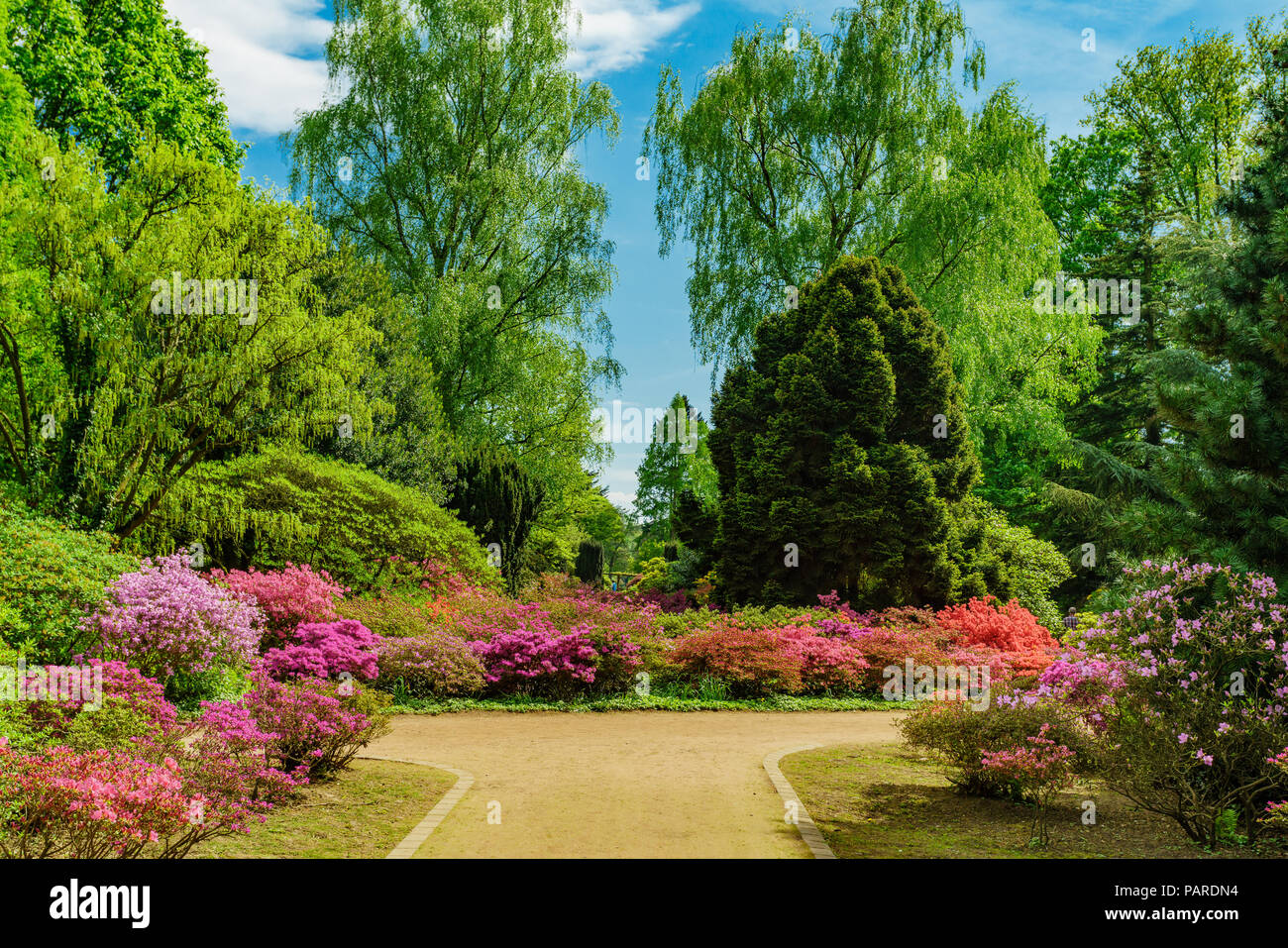 Beautiful garden. city park Stock Photo Alamy