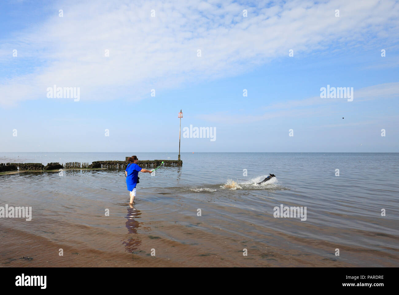 Ball launcher hi-res stock photography and images - Alamy