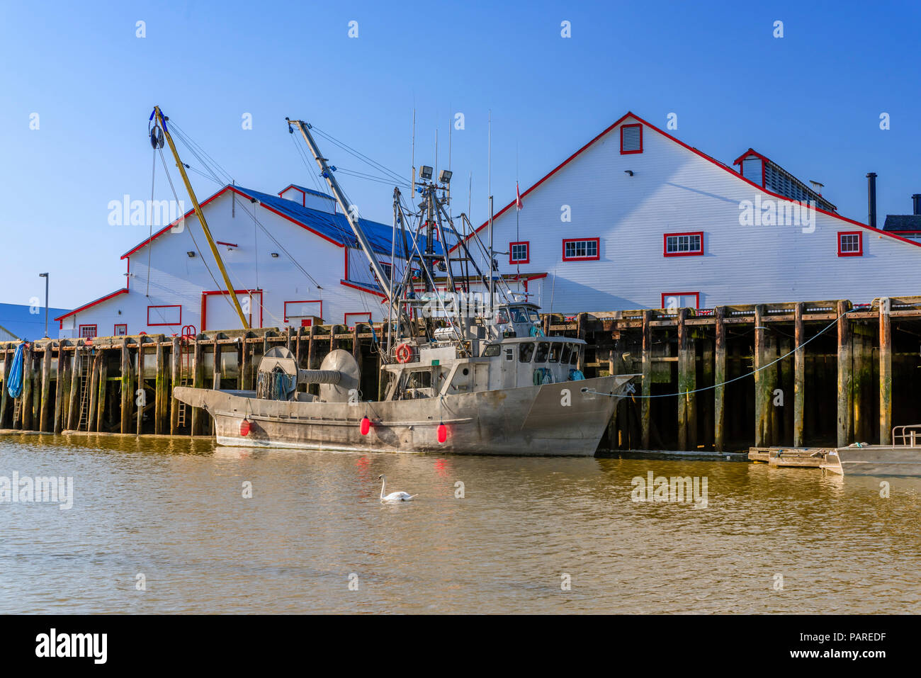 A fishing boat stands near the pier near the warehouses, a white swan floats along the water in the foreground, a blue sky in the background Stock Photo