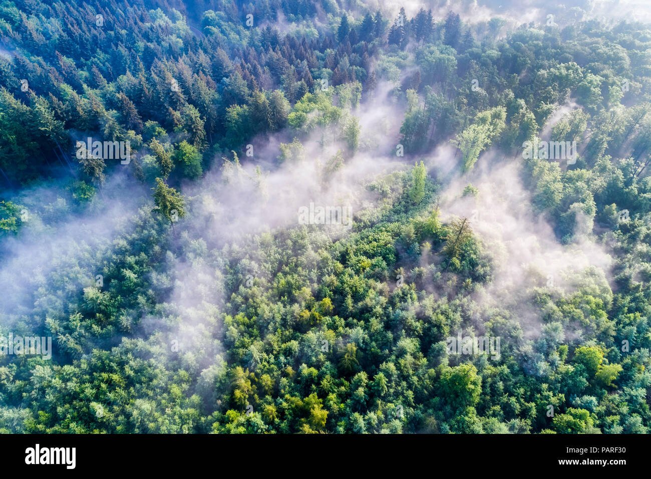 Germany, Baden-Wuerttemberg, Swabian Alb, Aerial view of Schurwald, morning fog Stock Photo
