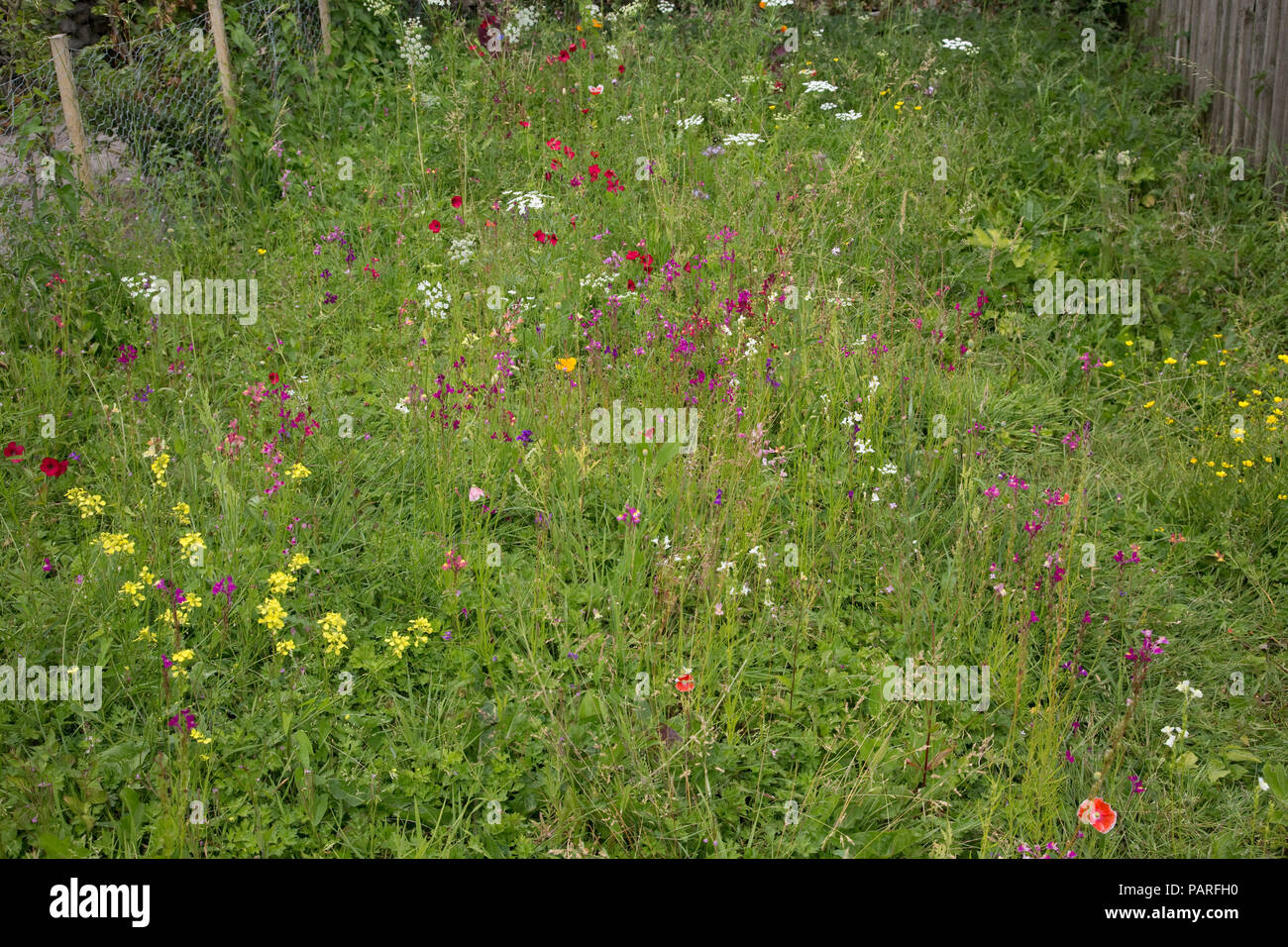 Insect Friendly Gardens High Resolution Stock Photography and Images ...