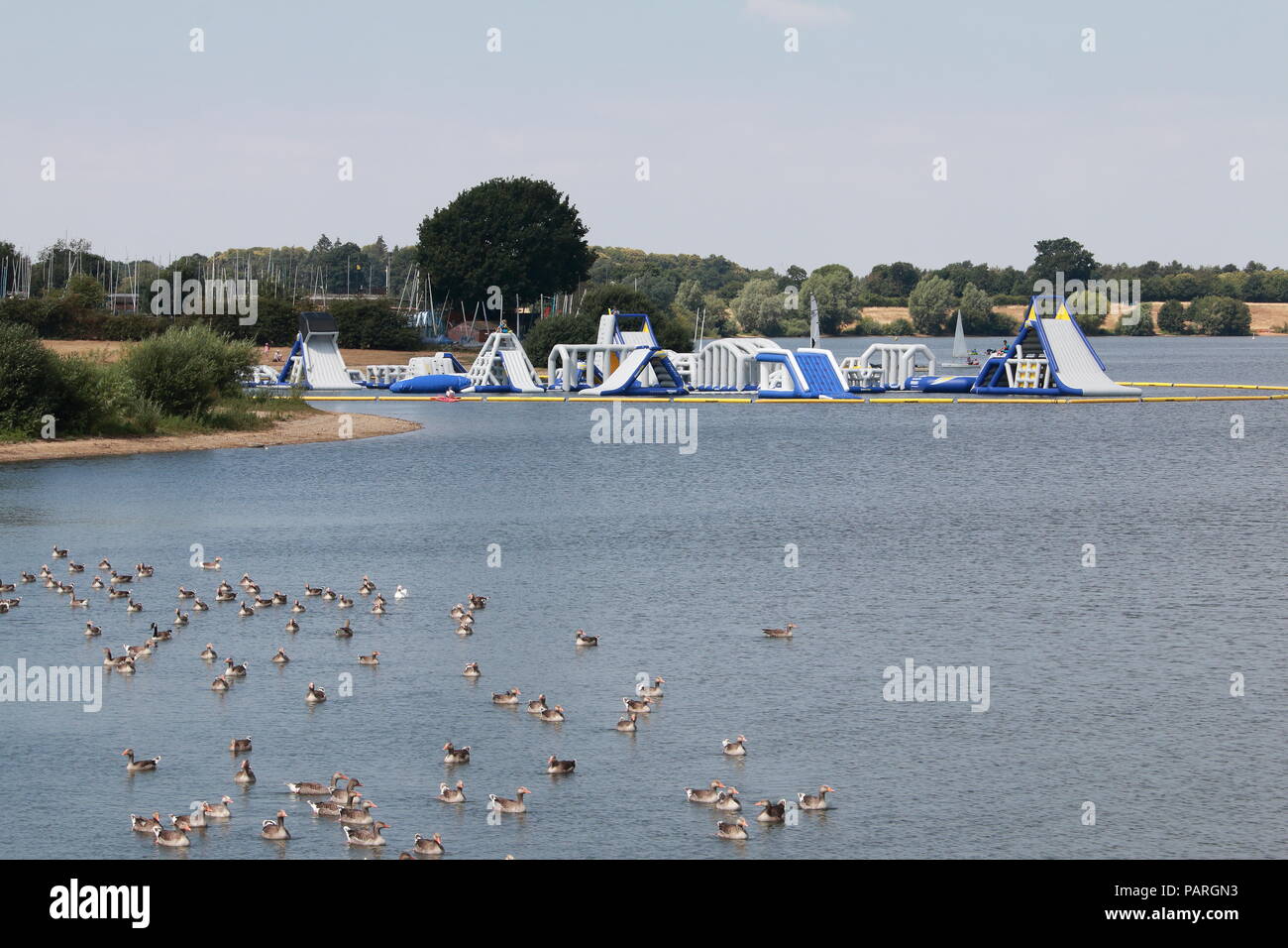 Alton Water Suffolk Stock Photo Alamy