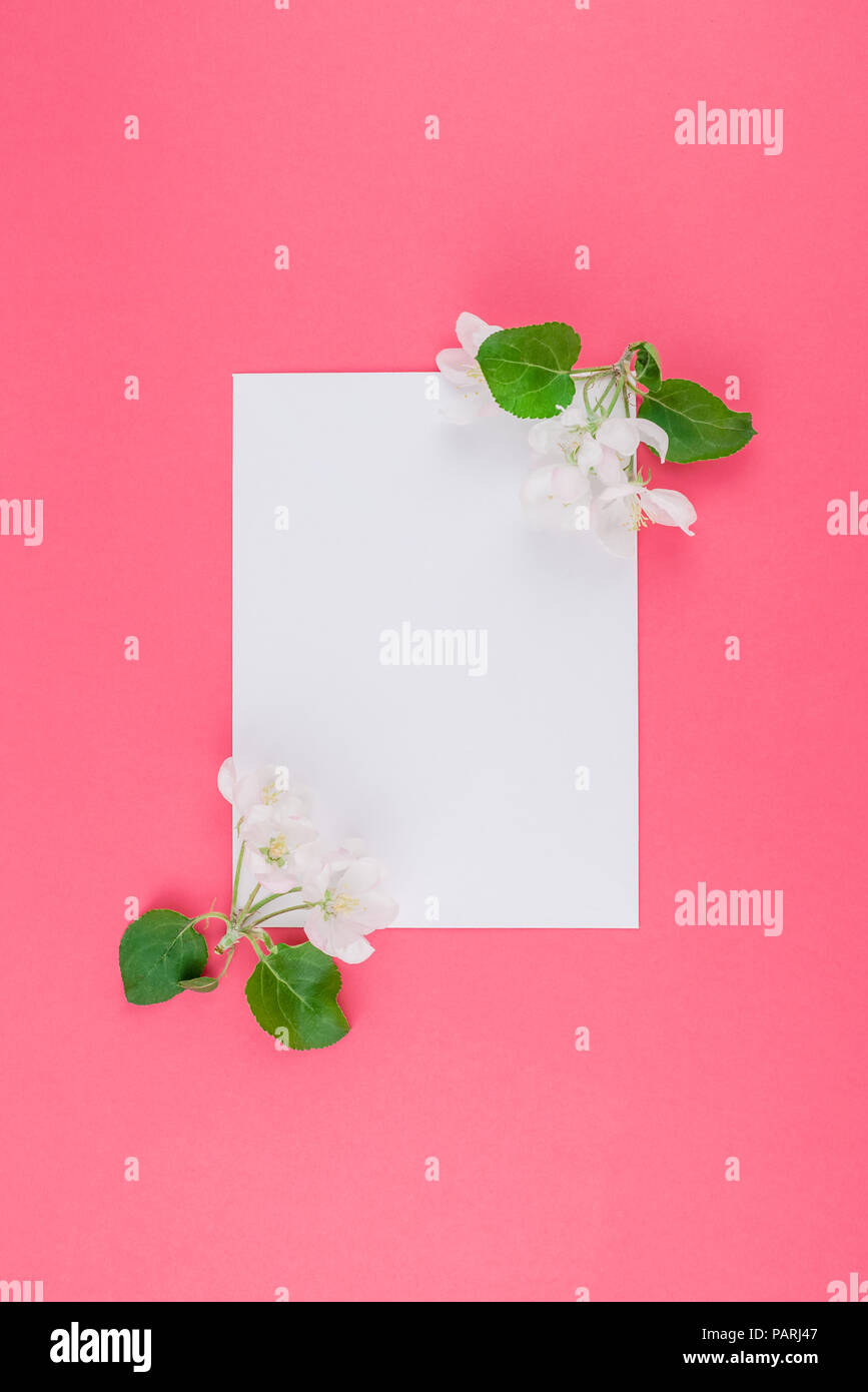 Creative flat lay concept top view of blank postcard frame mock up and ...