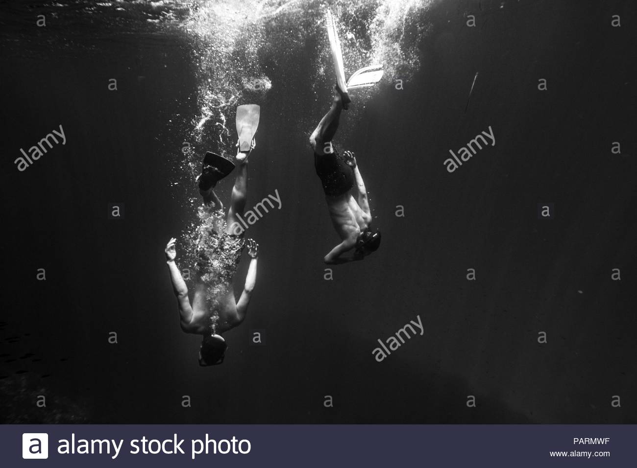 Man Underwater Black and White Stock Photos & Images - Alamy