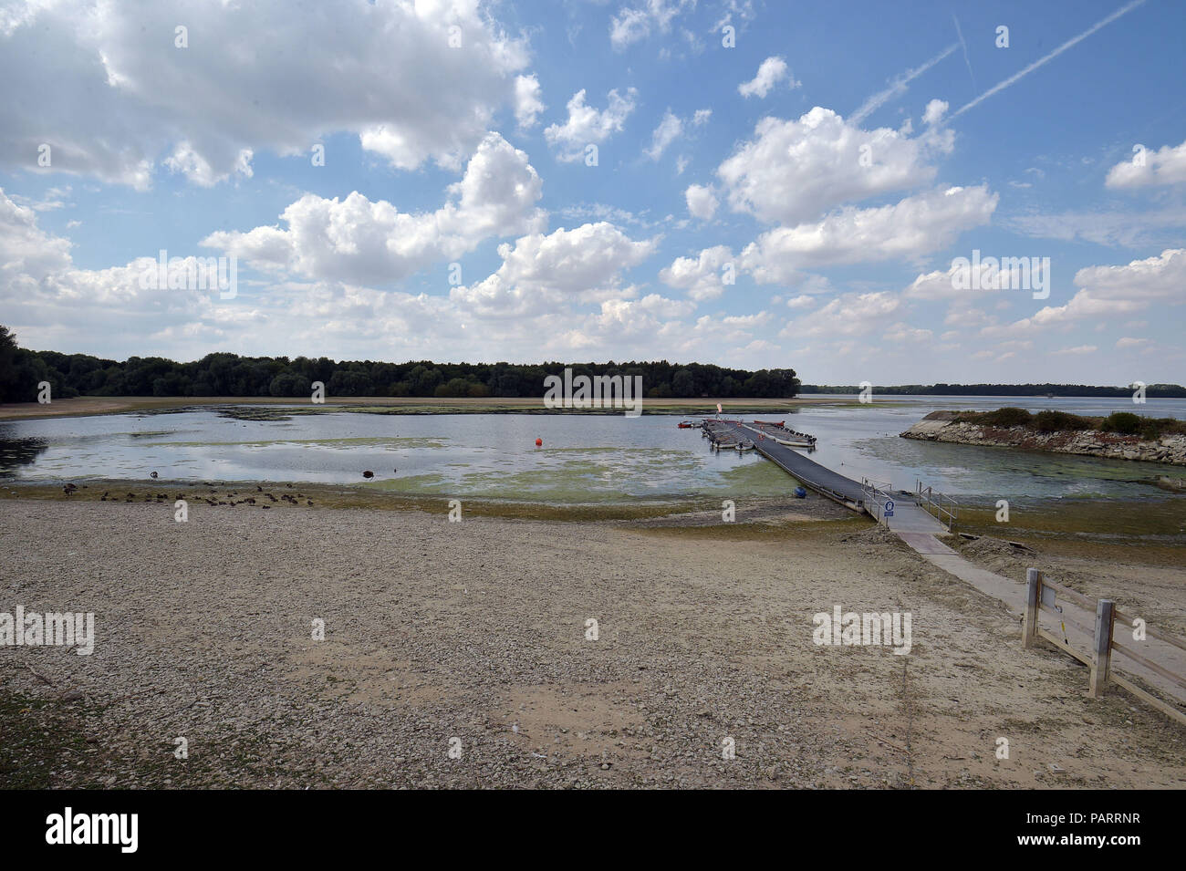 Very low water levels, expose the normally water covered shore line, at Hanningfield reservoir, near Chelmsford in Essex, as the hot weather continues across the country. Stock Photo